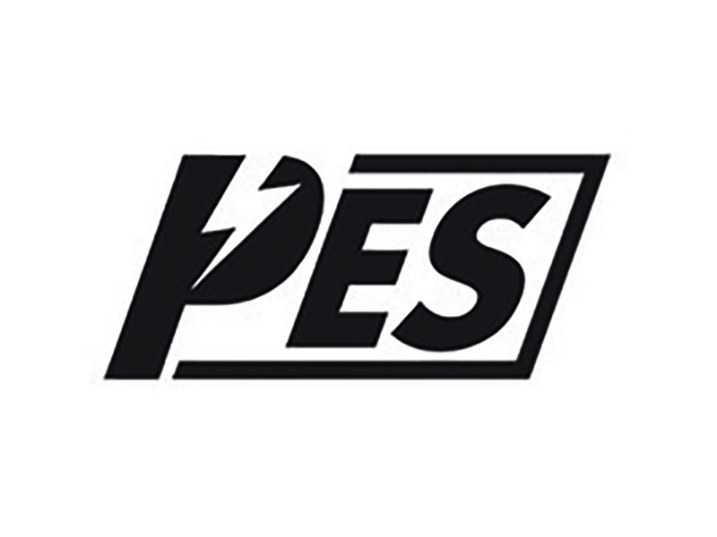 Cogent Analytics Client: Power Engineering Services PES