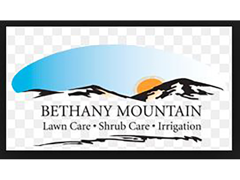 Cogent Analytics Client: Bethany Mountain
