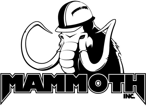 Mammoth Construction | Cogent Analytics