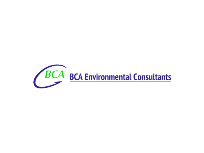 Logo for Cogent Analytics Client: BCA